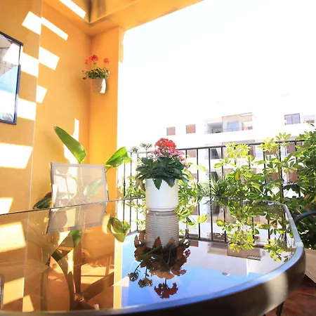 Penthouse Royal Park